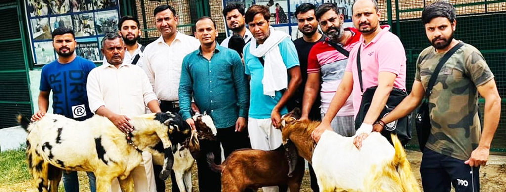 GIC Commercial Goat Farming Training Centre, Mathura