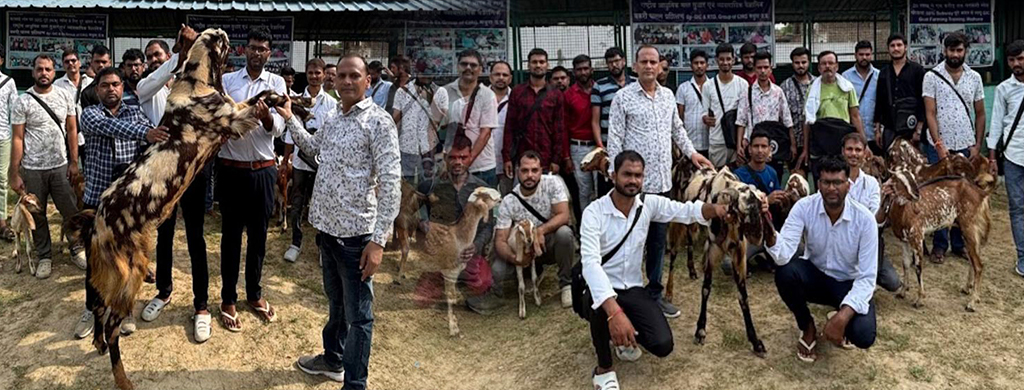GIC Commercial Goat Farming Training Centre, Mathura